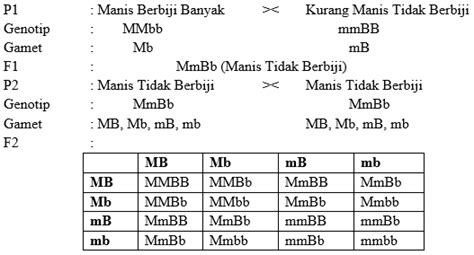 mmbbet|MMBB.